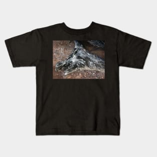 Driftwood Horse Kids T-Shirt